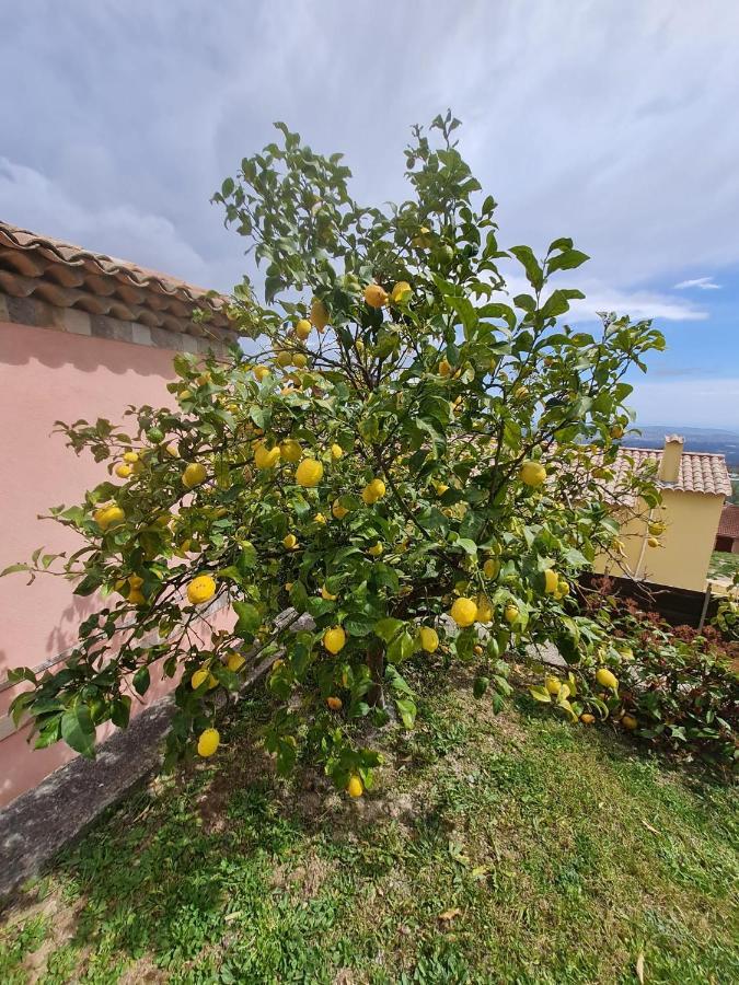 Adorable Maison Independante 30M2 Avec Piscine En Saison Cabris Εξωτερικό φωτογραφία